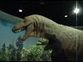 Traumador Behind the Scenes: The Beginning of the Crush