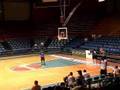 Mario Mihalik Basketball