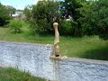 Mentos Coca-Cola Light in Canguçu