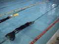 Stefano Tovaglieri Apnea Dinamica 150 mt. C.I. Roma 2004