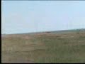 Manele-in-VAMA-VECHE
