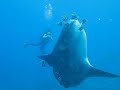 Mola @ Crystal Bay, Bali - free flv video @ vwatch.tv