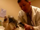 Tailer Meets Dr. Barchas