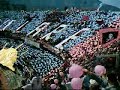 PALERMO CATANIA - INGRESSO IN CAMPO COREOGRAFIA CURVA NORD
