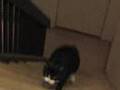 The Bootsie Overture