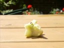 Apple Bites Back Podcast Trail