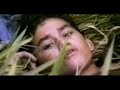 Arundhati Roy \"we\" part 3
