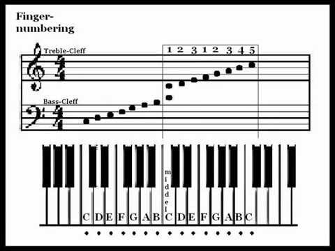 how to read music notes