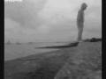 videos de 30/11/08