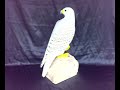 White Gyrfalcon Video,  coloured woodcarving, ?????? ??????
