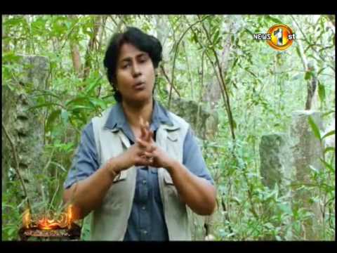 Purawatha