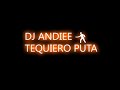 Dj Andiee - TP (SOFTHARDSTYLE)