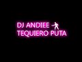 Dj Andiee - TP (SOFTHARDSTYLE)