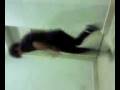 videos de Noob Jumpstyle.3gp