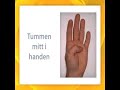 Inledningspass: Konferens om L�sningsfokus p� AF jan 2006
