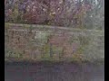 391 Colne Valley Circular bus service