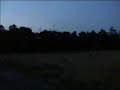 Roep nachtzwaluw Roep nachtzwaluw