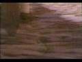 Clan of Xymox - A Day