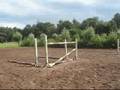 videos de zensation & stephanie 1.35m springen