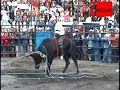 LOS REYES MALBORO EN SAN PEDRO PAREO