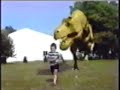 Rex chasing boy