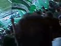atletico nacional vs huila final 2007 salida campeon
