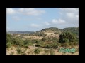 Puntas bianca