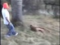 Bear Poaching Bear Poaching