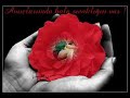 av?a-ercan-gitmeden ?unu kalbine yaz �i�e?im;(