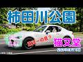 ドライブ動画（柿田川公園）