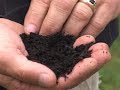Overseeding your lawn Overseeding your lawn