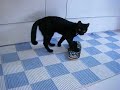 foo the slipper snatcher