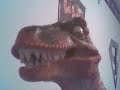 Raptor Raptor