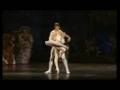 The Nutracker 2008, The Imperial Russian Ballet Company