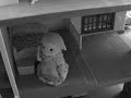 Download Calico Critters: Horror Movie MP3 song and Music Video