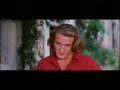  - MovieZen Video