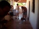 HENRIQUE E O SEU BACURIN CAGÃO HENRIQUE E O SEU BACURIN CAGÃO