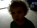 my alligator