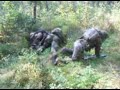 4 kompania rozkminiania