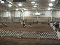 videos de Karma & Lisa at the Great Dane Club of America Nationals Agility Trial, Kansas City 2007