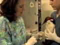 AAZK January Hospital Chat