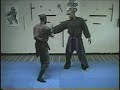 Ninjutsu Taijutsu(empty hand Combat) 2