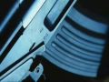 Everybody Got Guns