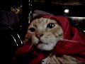 tigger tigger