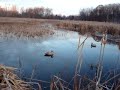 Duck hunting December 2nd, 2007