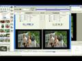 Video aula proshow producer
