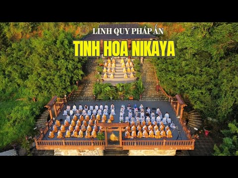Tinh Hoa NIKAYA - Trái Tim Của Đức Phật - Hãy Tự Mình Là Ngọn Đèn Cho Chính Mình *