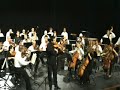 romance in F beethoven sorin alexandru horlea