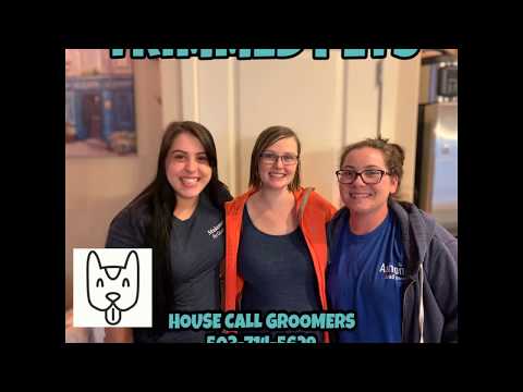 Dog Groomer Tigard, OR - Trimmed Pets LLC Mobile Grooming