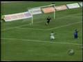 videos de Pantico